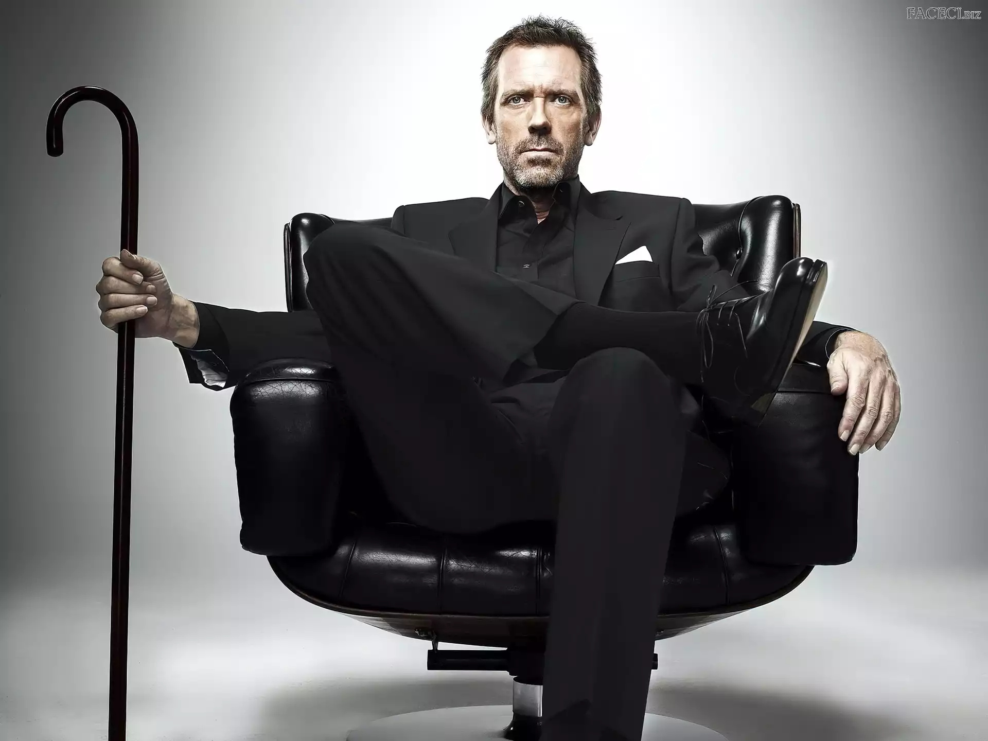 Dr House, Hugh Laurie, Laska, Fotel