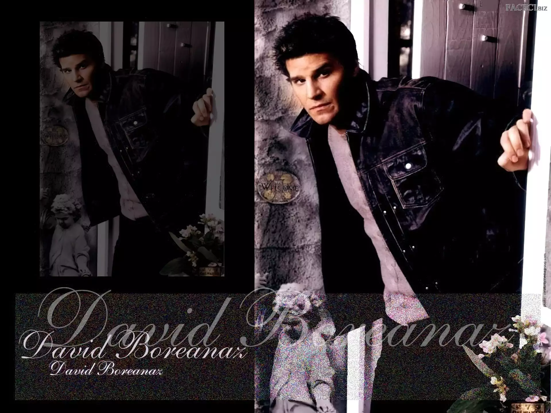 kwiatki, David Boreanaz, kurtka